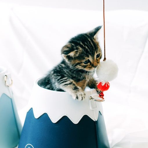Fuji Meow-Mount Fuji Cat Teaser