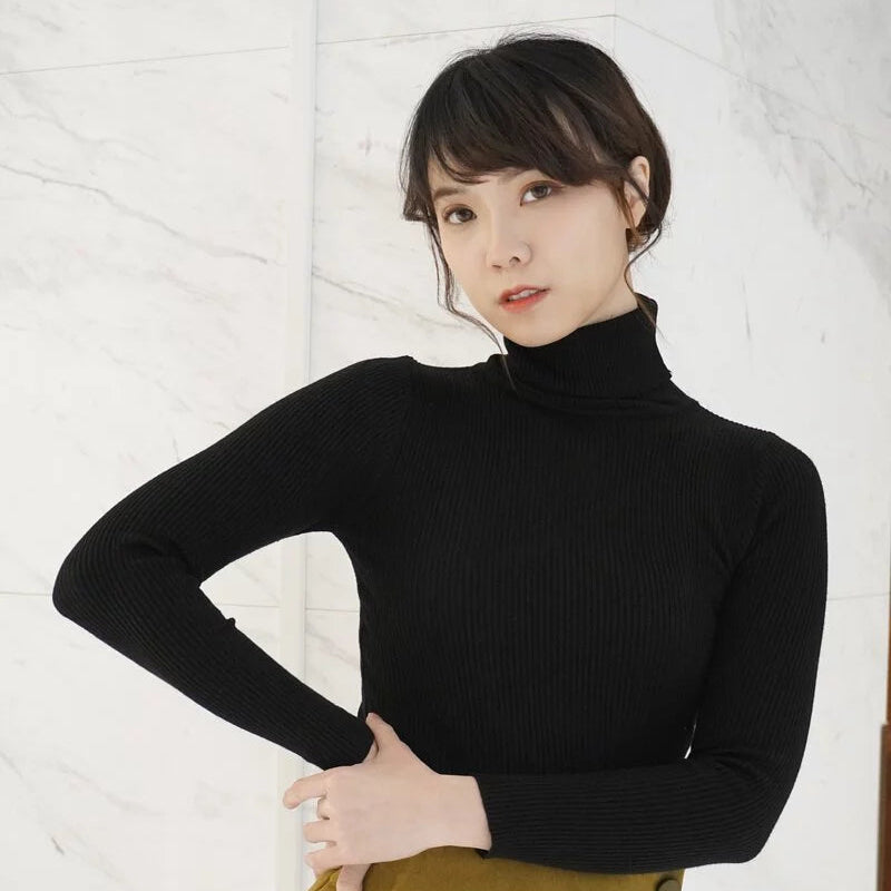 High neck ribbed knit fitted versatile top