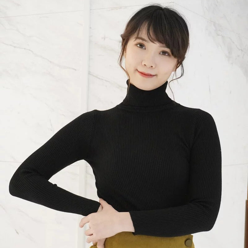 High neck ribbed knit fitted versatile top