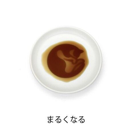 Cat Soy Sauce Dish