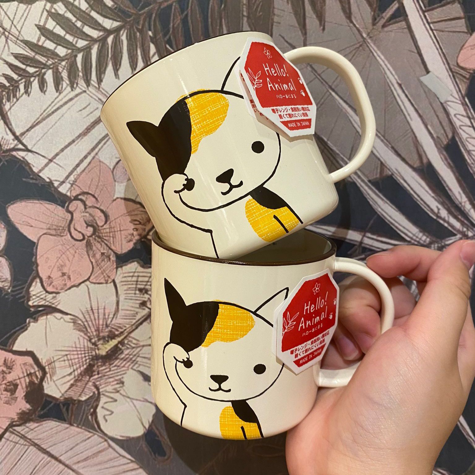 Cat Cup