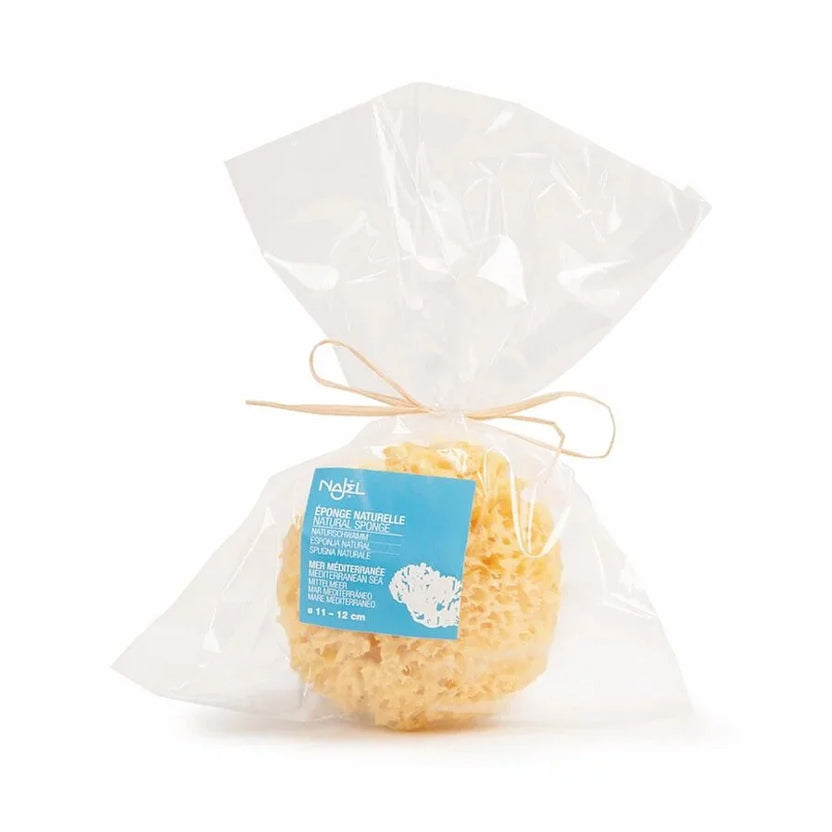 NAJEL｜Natural Mediterranean Honeycomb Sea Sponge