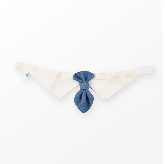 white-collar-pet-collar-with-blue-denim-necktie-flat-lay-Fuji-Meow-Bossy-Necktie-Hong-Kong-Kwun-Tong-Grandmama-store